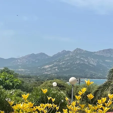 公寓 Bel Vue Mer, Proche Plages 卢米奥